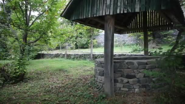 Abbandonato Bene Nella Foresta Aspettando Una Ragazza Terribile Con Capelli — Video Stock