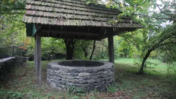 Verlassene Brunnen Wald Warten Auf Ein Schreckliches Mädchen Mit Langen — Stockvideo