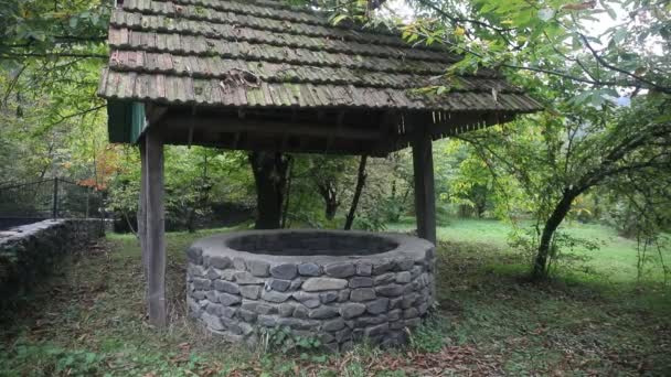 Abandoned Well Forest Waiting Terrible Girl Long Hair Halloween Concept — Stock Video