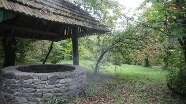 Verlassene Brunnen Wald Warten Auf Ein Schreckliches Mädchen Mit Langen — Stockvideo