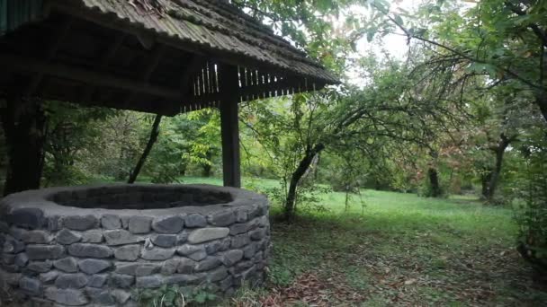 Verlassene Brunnen Wald Warten Auf Ein Schreckliches Mädchen Mit Langen — Stockvideo