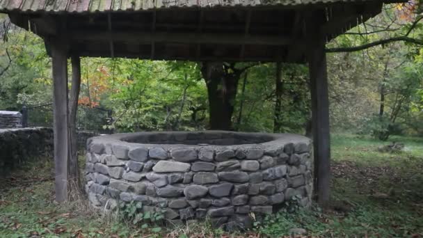 Verlassene Brunnen Wald Warten Auf Ein Schreckliches Mädchen Mit Langen — Stockvideo