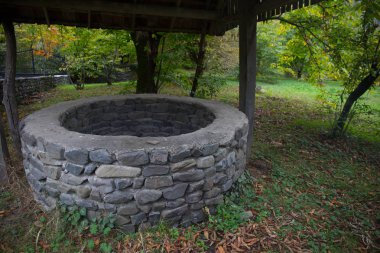 Ormanda de terk etti. Uzun saçlı çok kötü bir kız bekliyor. Cadılar Bayramı kavramı.