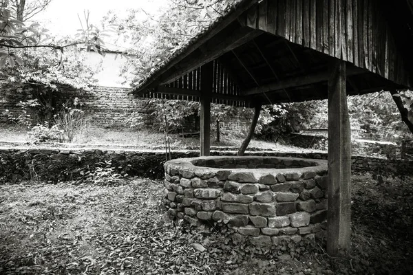 Ormanda Terk Etti Uzun Saçlı Çok Kötü Bir Kız Bekliyor — Stok fotoğraf