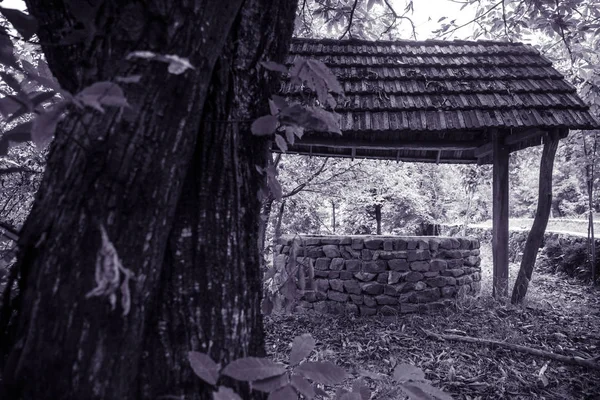 Abandonné Bien Dans Forêt Attends Une Horrible Fille Aux Cheveux — Photo