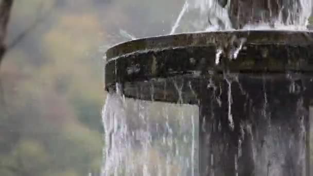 山で森で純粋な新鮮な水滝 古い噴水をクローズ アップ ショットのスライダー — ストック動画