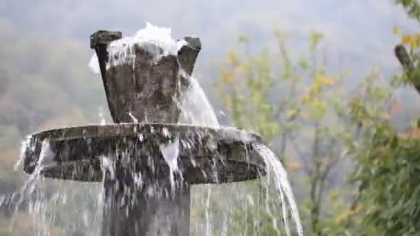 在森林中的森林里的纯净的淡水瀑布 老喷泉靠近 滑块拍摄 — 图库视频影像
