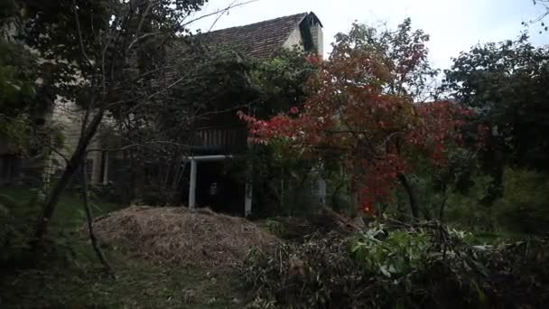 Bela Paisagem Casa Aldeia Com Árvores Floresta Durante Outono Campo — Vídeo de Stock