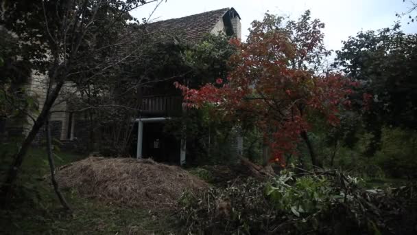 Bella Casa Villaggio Paesaggistico Con Alberi Nella Foresta Durante Autunno — Video Stock