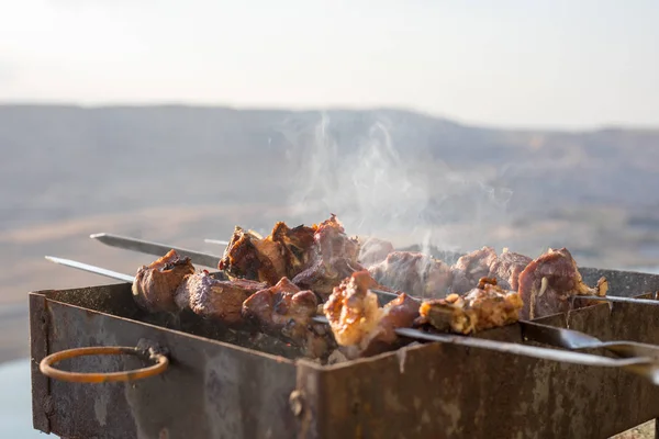 Préparation Shish Kebab Bbq Plein Air Ferme Concentration Sélective — Photo