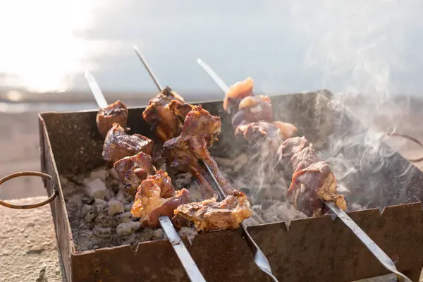 Préparation Shish Kebab Bbq Plein Air Ferme Concentration Sélective — Photo