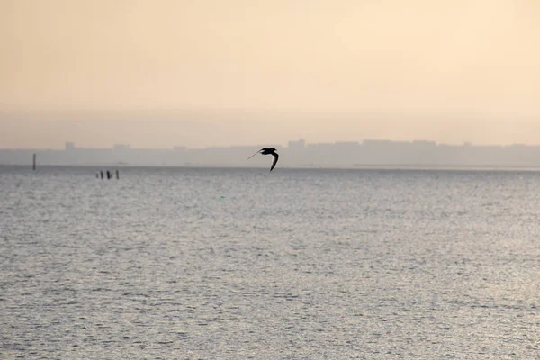 Vue Imprenable Sur Paysage Marin Clair Avec Ciel Nuageux Comme — Photo