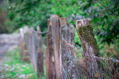 Doğal el yapımı ahşap ağaç brenches yapılan çit. Köy çit görünümünü kapatın. Azerbaycan. Doğa arka plan. Sonbahar