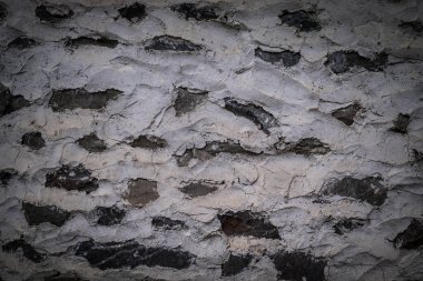 Eski ve kırık bir sarhoş duvarına yakın çekim. Sonbahar zaman. Açık. Seçici odak