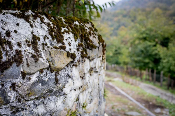 Close Old Cracked Stoned Wall Autumn Time Outdoor Selective Focus — Stock Photo, Image