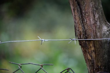 Doğal el yapımı ahşap ağaç brenches yapılan çit. Köy çit görünümünü kapatın. Azerbaycan. Doğa arka plan. Sonbahar