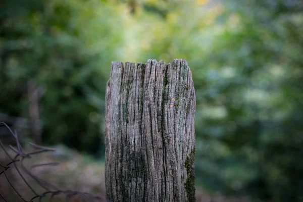 Natural Hand Made Fence Made Wooden Tree Brenches Close View — Stock Photo, Image