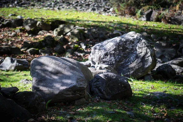 Großer Runder Stein Auf Dem Grünen Gras Nahaufnahme — Stockfoto