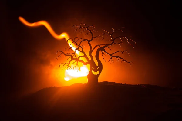Silhueta Árvore Véspera Todos Santos Assustadora Com Cara Horror Fogo — Fotografia de Stock