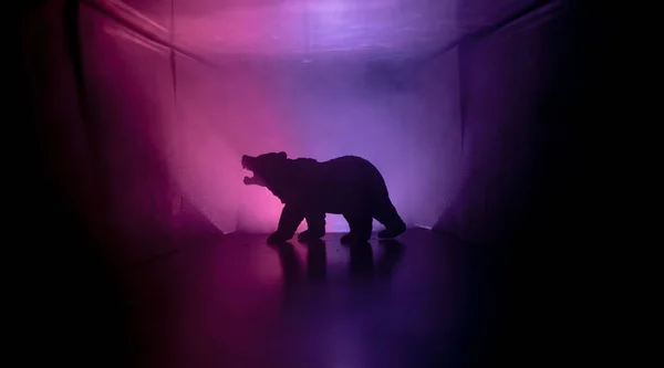 放棄された廊下に大きな熊の恐怖ビュー 霧の暗いトーンのバック グラウンドにクマのシルエット 選択と集中 — ストック写真