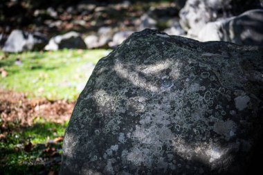 Yeşil çimenlerin üzerinde büyük yuvarlak taş. Yakın çekim