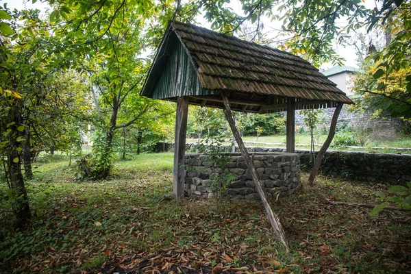 Abandonou Bem Floresta Espera Uma Rapariga Horrível Com Cabelo Comprido — Fotografia de Stock