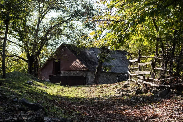 Bela Paisagem Casa Aldeia Com Árvores Floresta Durante Outono Campo — Fotografia de Stock