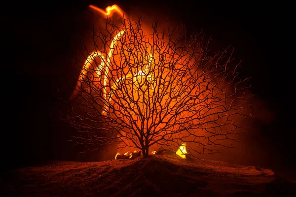 Silhouette of scary Halloween tree on dark foggy toned fire. Scary horror tree Halloween concept. Selective focus