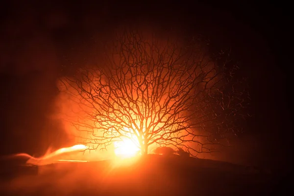 Silhueta Árvore Véspera Todos Santos Assustadora Fogo Enevoado Nebuloso Escuro — Fotografia de Stock