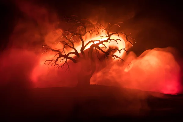 Silueta Strašidelný Halloween Stromu Hrůzou Tváří Mlhavé Tmě Laděných Oheň — Stock fotografie