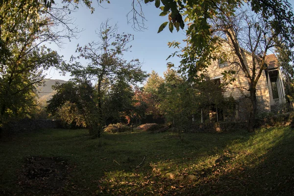 美丽的风景村庄房子与树在森林在秋天 阿塞拜疆农村 — 图库照片