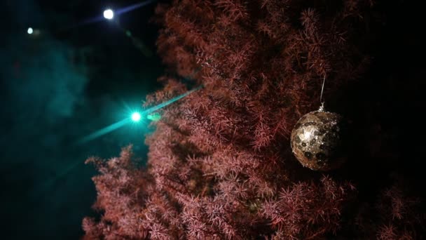 Bauble Árbol Decoración Navidad Año Nuevo Rama Pino Con Luces — Vídeos de Stock