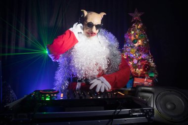 Komik 2019 yılı domuz kavramı. DJ Santa domuz maskesi New Year's Eve olayda karıştırma yılbaşı partisinde. Arka planda disko ışıkları.