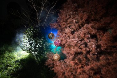 Ağaç üzerinde önemsiz şey. Çam ağacı dalı ile ışıklar gece açık havada arka plan, Noel ve yılbaşı süs. Kış tatil kavramı. Seçici odak