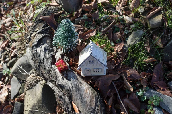 Noël Nouvel Maison Miniature Forêt Sous Lumière Soleil Petite Maison — Photo