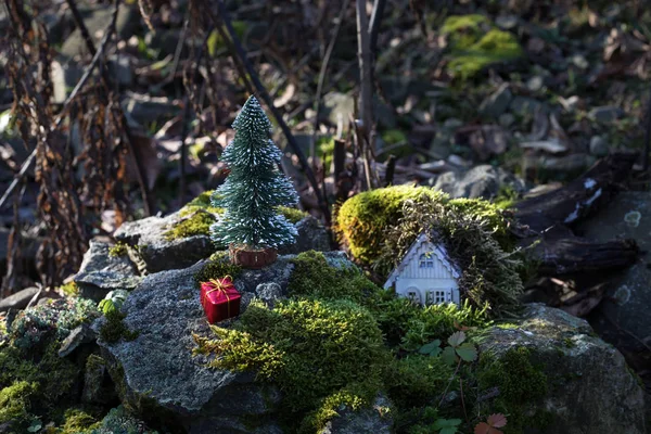 日光の森のミニチュアの家のクリスマスと新年小さなおもちゃの家をクローズ アップ お祭りの背景 クリスマスの装飾 休日および祭典のコンセプトです 雪のないです — ストック写真