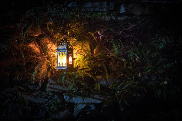 Bella Lampada Colorata Illuminata Giardino Nella Notte Nebbiosa Lanterna Stile — Foto Stock