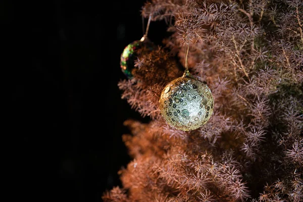 Bauble Sur Arbre Décoration Noël Nouvel Sur Branche Pin Avec — Photo