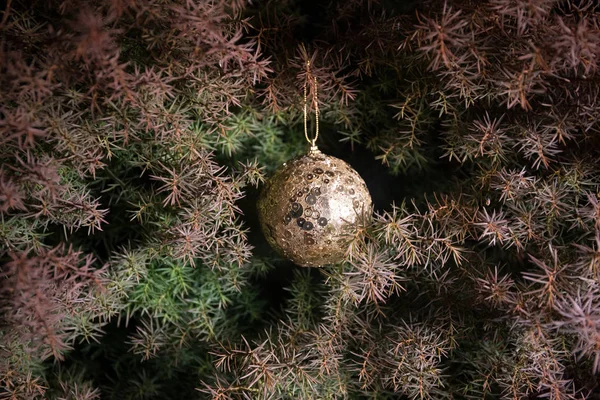 Bauble Sur Arbre Décoration Noël Nouvel Sur Branche Pin Avec — Photo