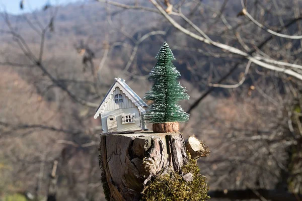 Noël Nouvel Maison Miniature Forêt Sous Lumière Soleil Petite Maison — Photo
