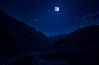 Yıldızlı gece dağlar ve orman ile güzel gece manzarası. Gece orman yeşil çayır ve dağ parlak yıldızlı gece veya görünümünde Samanyolu