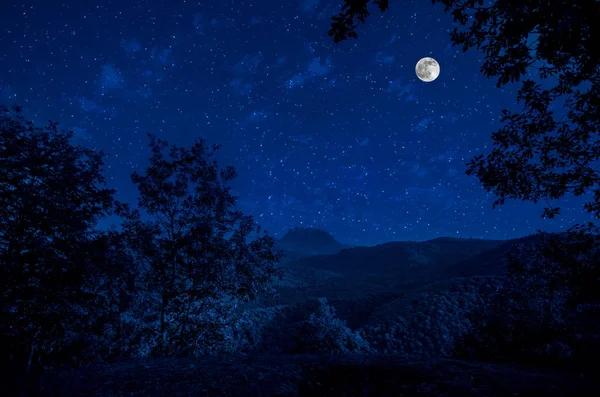 Gyönyörű Éjszaka Táj Starry Night Hegység Erdő Éjszakai Erdő Zöld — Stock Fotó