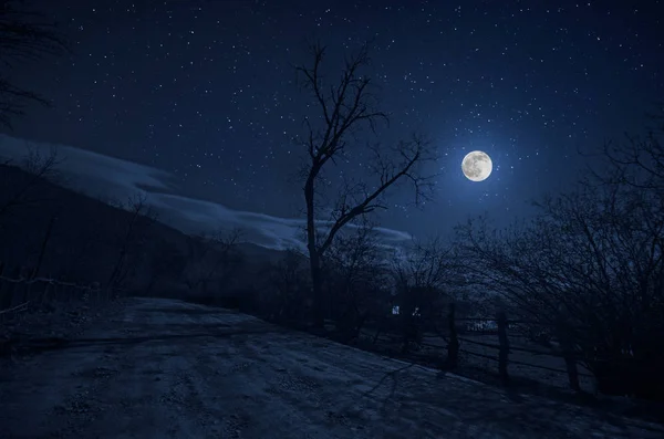 Mountain Road Através Floresta Uma Noite Lua Cheia Paisagem Noturna — Fotografia de Stock