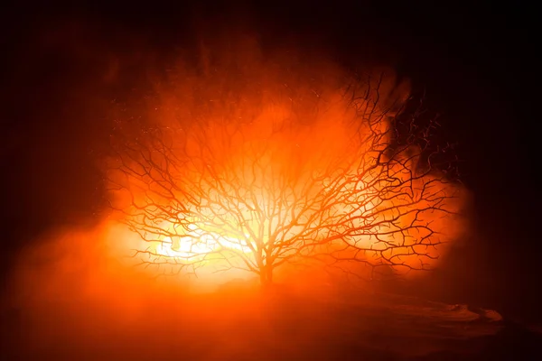 Silueta Strašidelný Halloween Tree Mlhavé Tmě Laděných Oheň Děsivý Horor — Stock fotografie