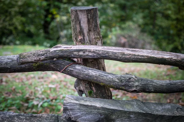 Přírodní Ručně Vyrobené Plot Dřevěných Strom Brenches Zblízka Pohled Vesnici — Stock fotografie