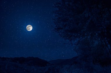 Yıldızlı gece dağlar ve orman ile güzel gece manzarası. Gece orman yeşil çayır ve dağ parlak yıldızlı gece veya görünümünde Samanyolu