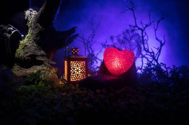 Sevgililer günü aşk kavramı. Gece güzel sanat dekorasyon küçük parlayan kalp ve eski vintage fener ile. Kalp gece taşlarla süslü sahte ormandaki. Boş alan seçici odak