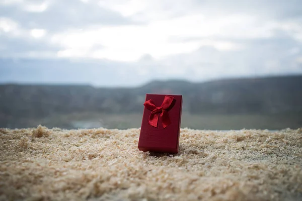 Anillos Wedidng Dentro Una Caja Roja Aire Libre Feliz Día — Foto de Stock