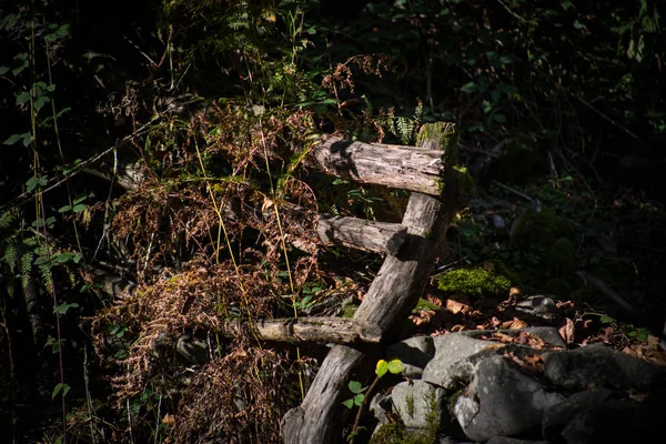 Cerca Feita Mão Natural Feita Brenches Árvore Madeira Vista Perto — Fotografia de Stock