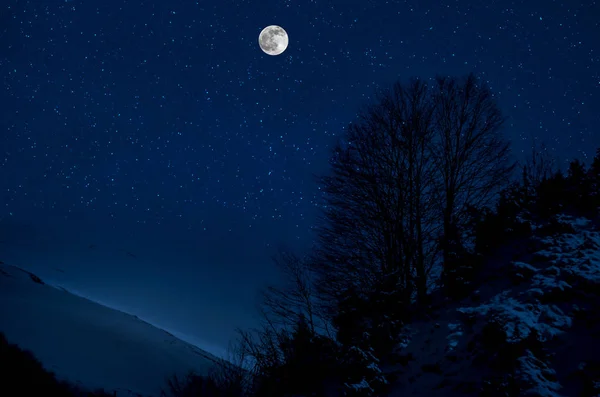 雄伟的冬夜在山谷中 满月在星空中 美丽的雪夜景观与月亮 — 图库照片